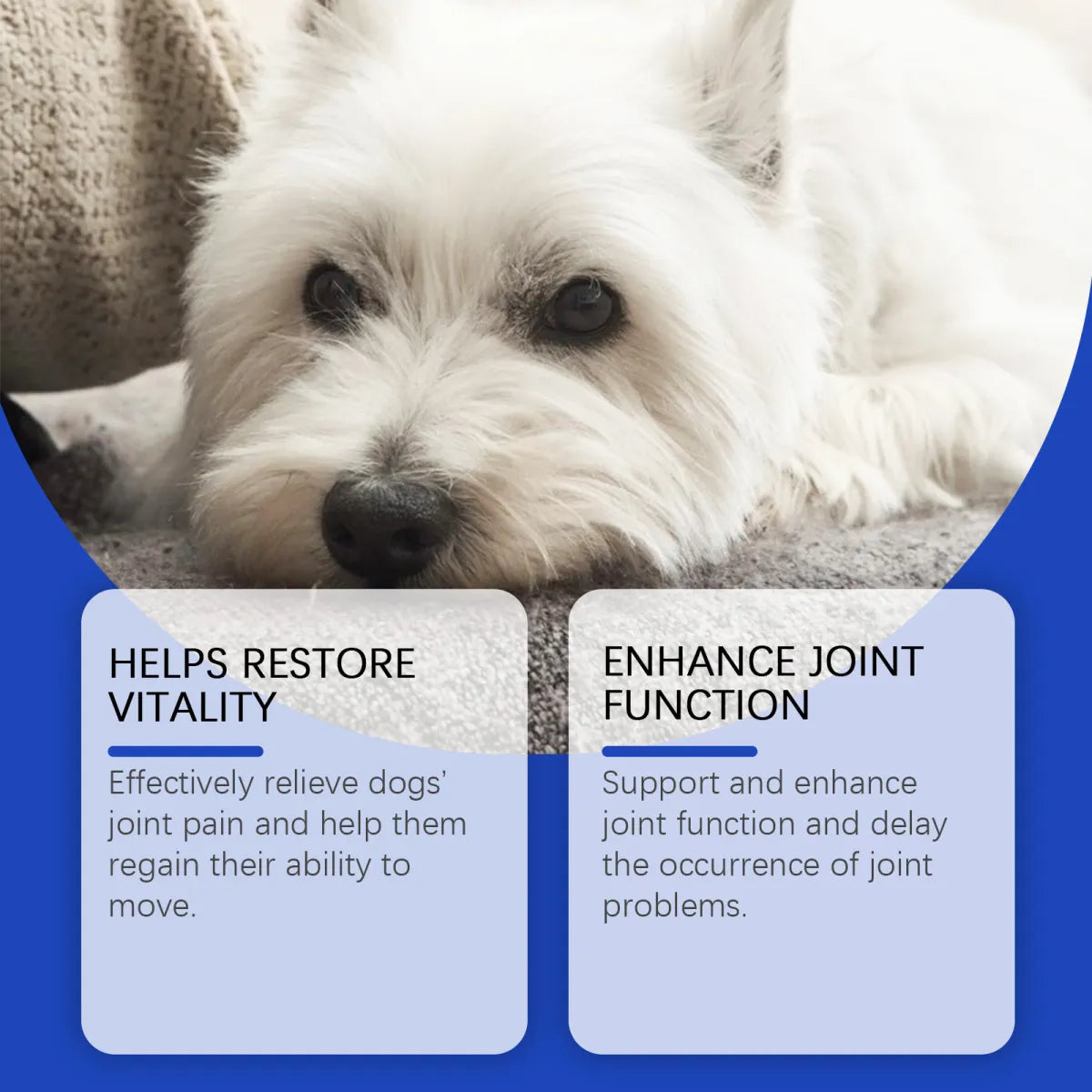 Dog Joint Health Supplement